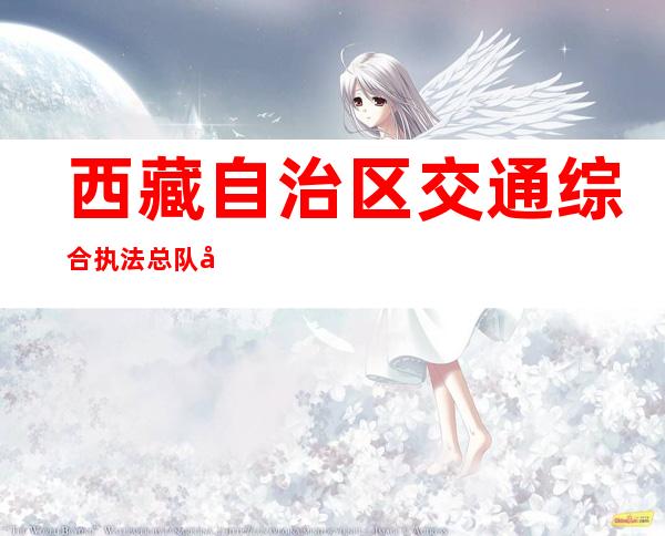 西藏自治区交通综合执法总队山南交通综合执法支队工会商品房